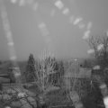 Webcam_20250102-080000