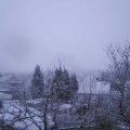 Webcam_20250102-084500