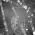 Webcam_20250102-181500