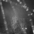 Webcam_20250102-183000