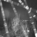 Webcam_20250102-184500