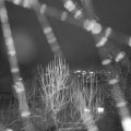 Webcam_20250102-191500