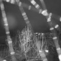 Webcam_20250102-193000