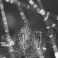 Webcam_20250102-194500