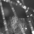 Webcam_20250102-203000