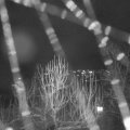 Webcam_20250102-204500