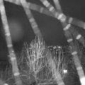 Webcam_20250102-220000
