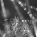 Webcam_20250103-174500
