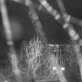 Webcam_20250103-183000
