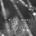Webcam_20250103-184500