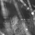 Webcam_20250103-201500
