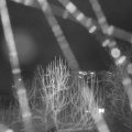 Webcam_20250103-204500