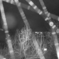 Webcam_20250103-210000