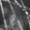 Webcam_20250104-051500