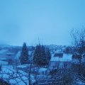 Webcam_20250104-081500