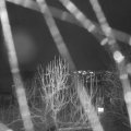 Webcam_20250104-173000