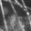 Webcam_20250104-183000