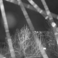 Webcam_20250104-184500