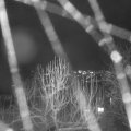Webcam_20250104-190000