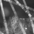 Webcam_20250104-201500