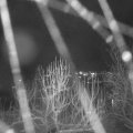 Webcam_20250104-204500