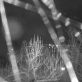 Webcam_20250104-213000