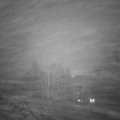 Webcam_20250105-170000