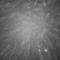 Webcam_20250105-171500