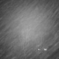 Webcam_20250105-173000