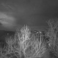 Webcam_20250106-073000