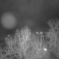 Webcam_20250106-213000