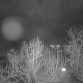 Webcam_20250106-220000