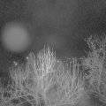 Webcam_20250107-053000