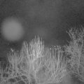 Webcam_20250107-054500