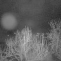 Webcam_20250107-063000