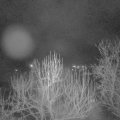 Webcam_20250107-070000