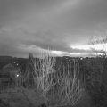Webcam_20250107-074500