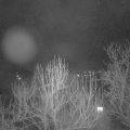 Webcam_20250108-054500