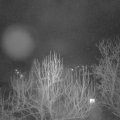 Webcam_20250108-060000