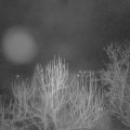 Webcam_20250108-063000