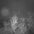 Webcam_20250108-194500