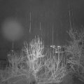Webcam_20250108-204500
