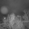 Webcam_20250109-070000