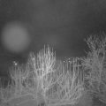 Webcam_20250110-054500