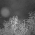 Webcam_20250110-060000