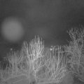 Webcam_20250110-063000