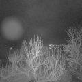 Webcam_20250110-070000