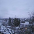 Webcam_20250110-083000