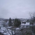 Webcam_20250110-093000