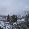 Webcam_20250110-113000